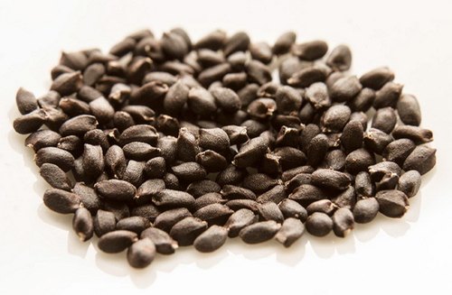 Pile of small dark brown Tulsi seeds on a plain white background